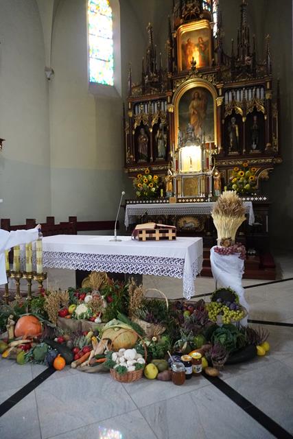 DSC00474 (Copy)