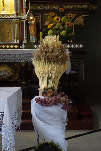 DSC00475 (Copy)
