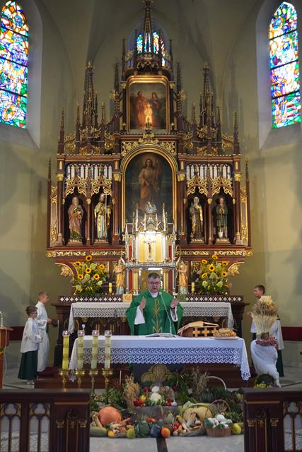 DSC00501 (Copy)