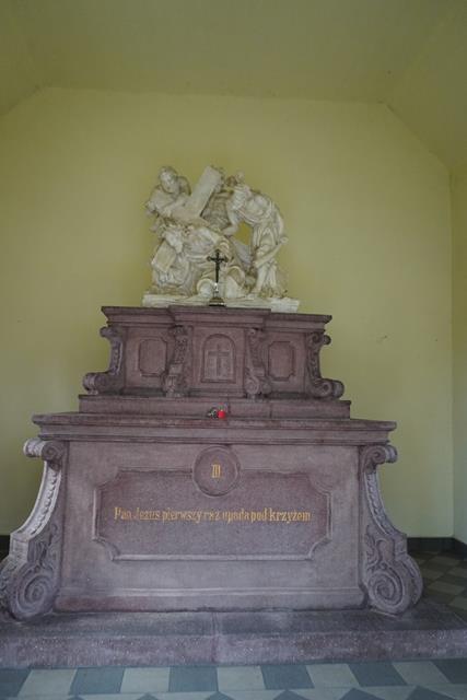DSC04526 (Copy)